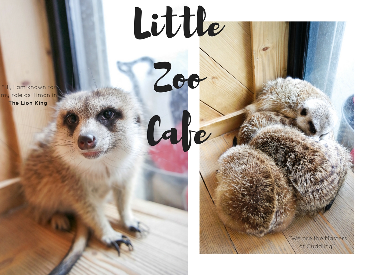 Little Zoo Cafe.jpg